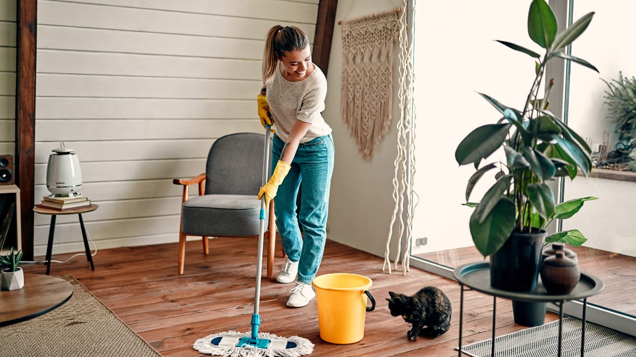 Person standing in a living room mopping the floor and smiling at a cat sitting next to the yellow mop bucket
